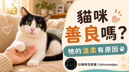 are-cats-kind