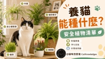cat-safe-plants