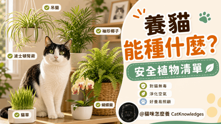 cat-safe-plants
