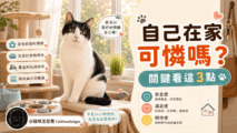 cat-home-alone