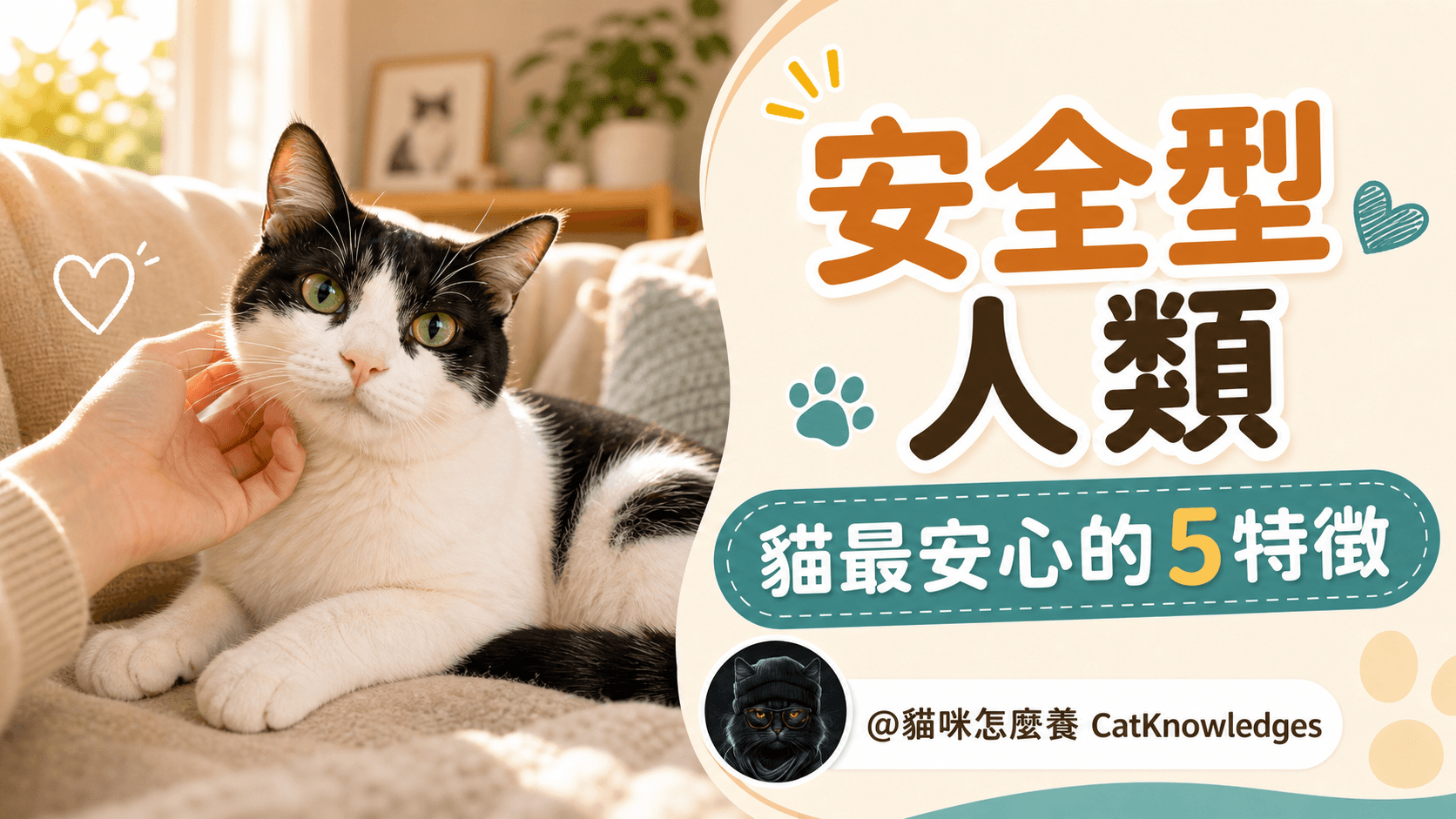貓眼中的安全型人類有5個特徵